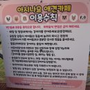 빛여울유치원 | 천안 삼룡동 아시나요 애견카페/애견미용용품/애견호텔/애견놀이터/애견병원