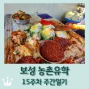 벌교읍 벌교부인경로당 | 보성 농촌유학 15주차 주간일기 / 딸 독감 격리 해제 / 벌교 꼬막 / 김장 일손 돕기