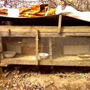 자연부화장 이미지