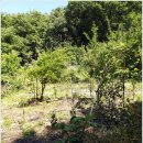 장척농장 이미지