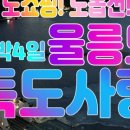 독도사랑 여행사