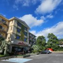 강정동-68 이미지