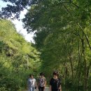 송산골산장