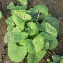 장순농장 이미지