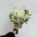 대천윤펜션 | 3월 일상 (대천 브라이덜 샤워, 글램독 청평점 , 우리윤한복)