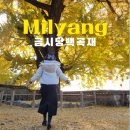 은행나무로 | 밀양 금시당 백곡재 실시간 은행나무 절정 주차 포토존 후기