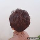 초긍정샵