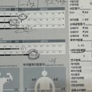 올라피티 이미지