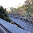 관악산 무장애숲길 이미지