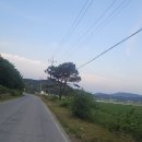 야라 헤이리 서영대 프로방스 헤이리 신정교 솔라 이미지