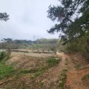 신기리농장 네이버블로그