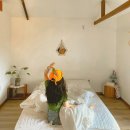 둘하루방 | 제주 월정리 숙소 추천, 자쿠지 감성 독채펜션 "둘하루방" 후기