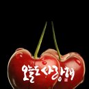 영화로운 이미지