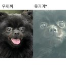 밀리고 밀린 5월은 가정의 달