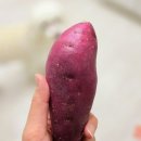 은애농장 이미지