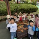 경운공원 이미지