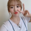 댕댕이지 이미지