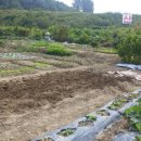 성화2농장 이미지