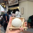 영팜 이미지