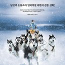 2006 이미지