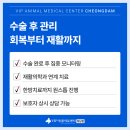 VIP동물의료센터 청담점 이미지