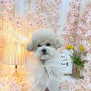 플라이봉 이미지