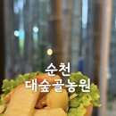 숲이랑농원 | 순천 대나무숲에서 즐기는 현지인픽 닭숯불구이맛집 대숲골농원 내돈내산후기