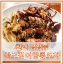 산오징어양푼포차 | 천안 성정동 산오징어 양푼포차| 제철 산오징어양푼무침과 통찜 후기