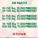 은주미가