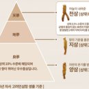 정관장홍삼의왕점
