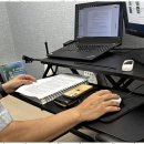 가교행정사 이미지