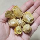 고덕칡냉면 | [블챌]약간의 억까를 곁들인 대련 11월 혼자여행(2일차) / 단동 / 타라오지 / 압록강유람선 / 압록강...