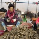 작은수해마을 이미지