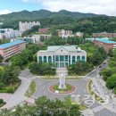 울산대학교 경상일보