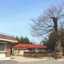 주야1리마을회관 이미지