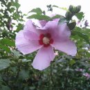 노해근린공원 이미지