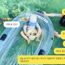 유아 치아 변색 ( 외상으로 앞니 까맣게 변함 → 치과 방문 후기 → 신경치료 X → 다시 하얘짐 ! )