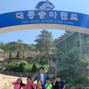 국가대표 경희대 빛 태권도 이미지