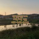 여주-1054 이미지