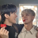 마크는 평생 제노 사모예드로 생각할 것 같다 이미지