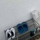 스테이눅