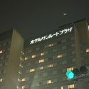 행복한혼끼 | [여행] 6월의 일본 도쿄🇯🇵 4박 5일 총정리, 일본 처음 가는 사람 손✋(날씨, 숙소, 일정, 경비, 예약 등)
