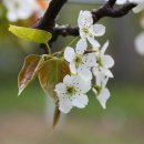 그린농원 이미지