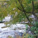 아젤리아 펜션 이미지