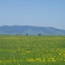 길 없는 길, 그 너머에 두고 온 마음...(몽골 여행 후기 마지막 편 - 7. 6 ~ 7. 7) 이미지