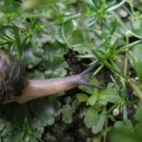 달팽이의하루 이미지