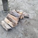 물레울 유원지 민박 이미지