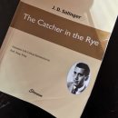 The Catcher in the Rye 이미지