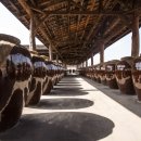 행운행정사사무소 이미지