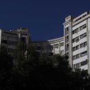 두루동물병원 | 24시 동물병원 확인해보기 필수 체크리스트